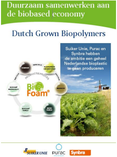 Dutch Grown Biopolymers Dutch Grown Biopolymers
